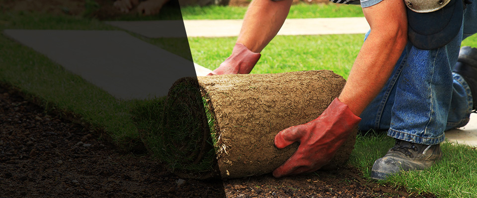 Belmont Landscapers